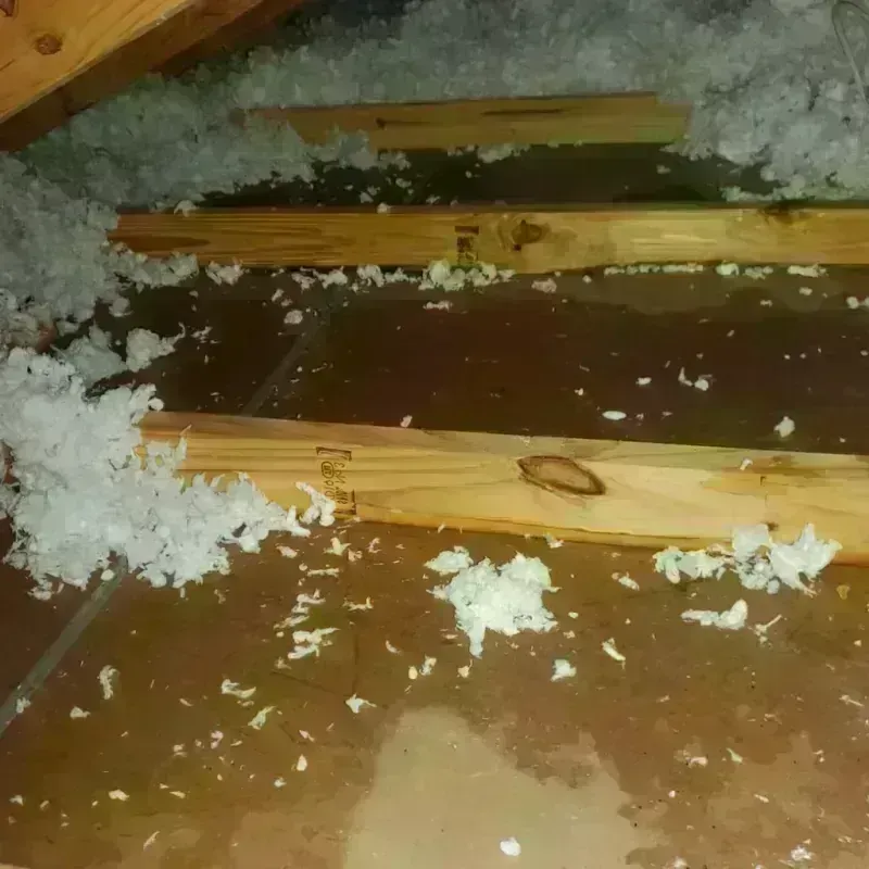 Attic Water Damage in Stewartville, AL